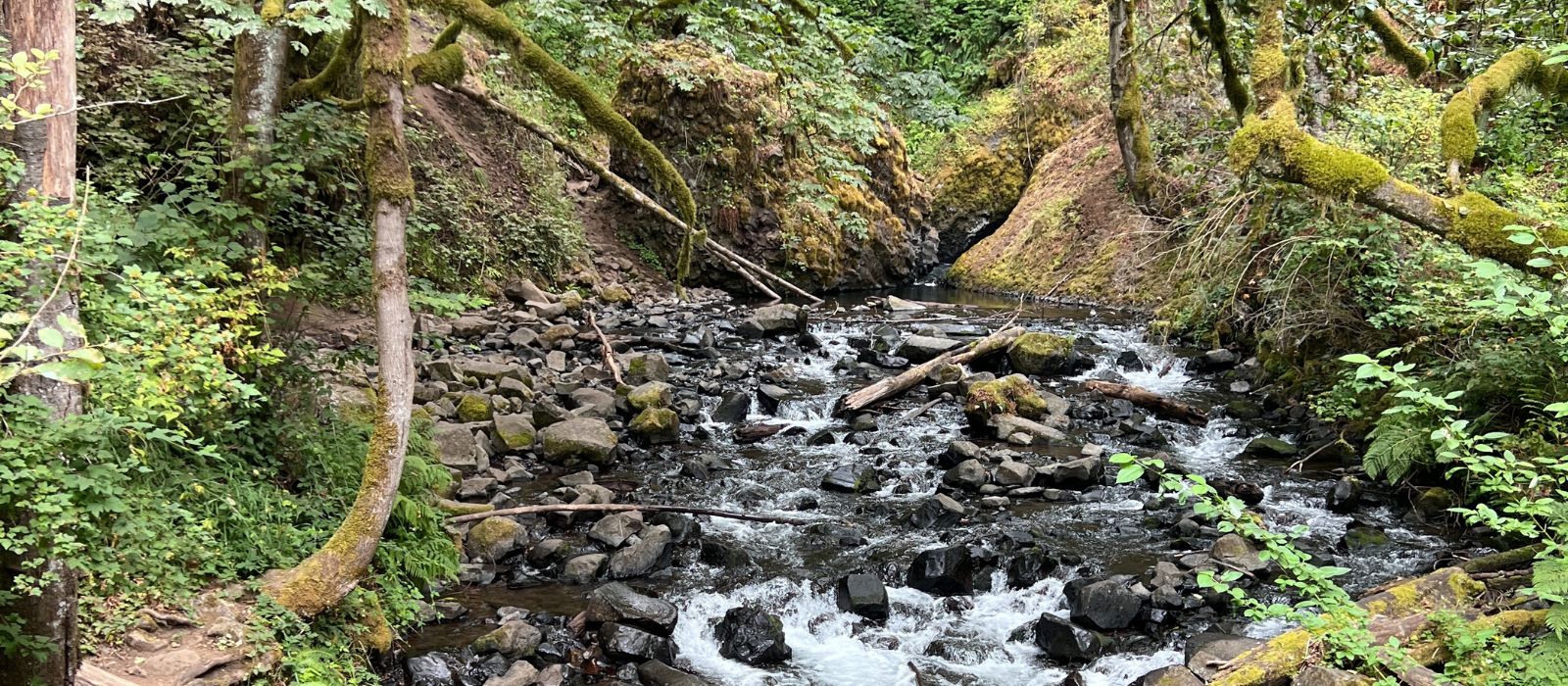 Off the Beaten Path: The Oregon Coast & Portland
