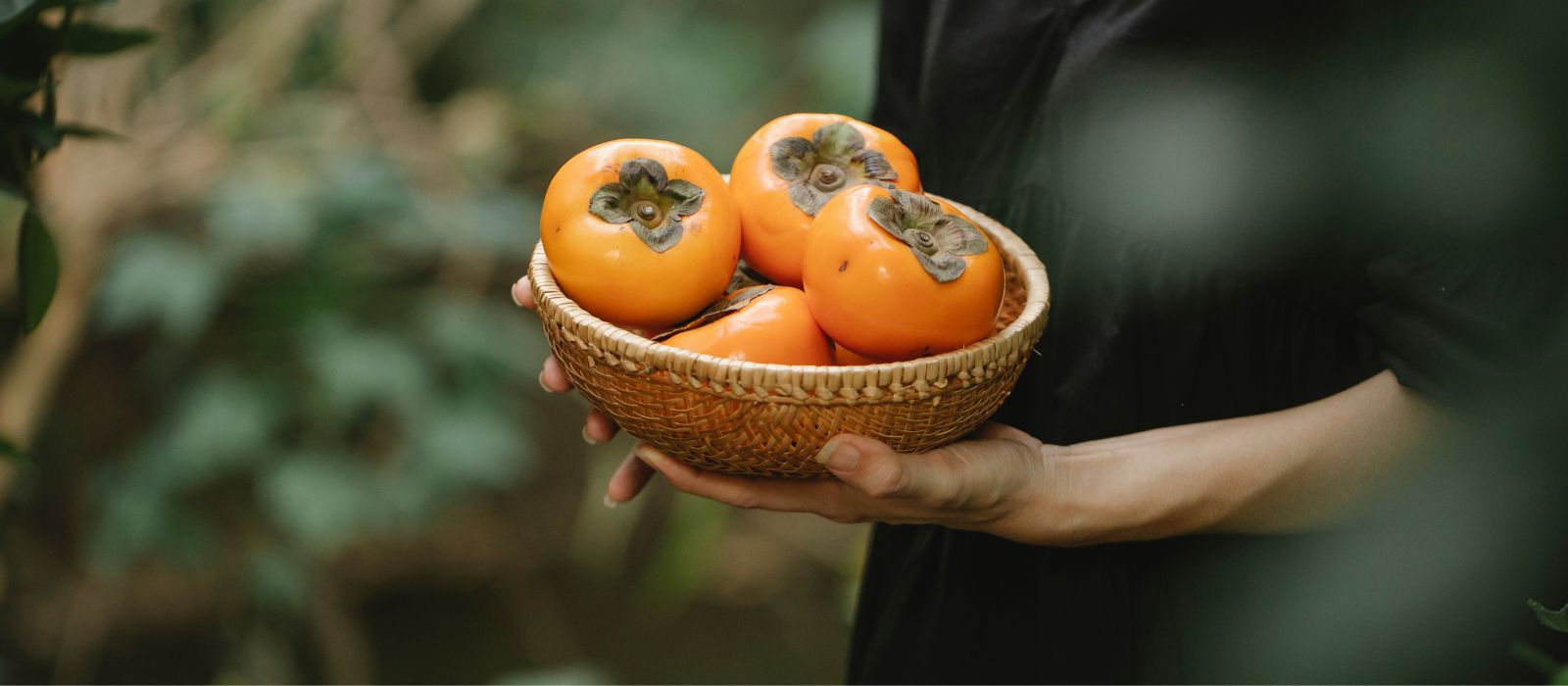 Costco Finds: Air-Dried Persimmon Slices
